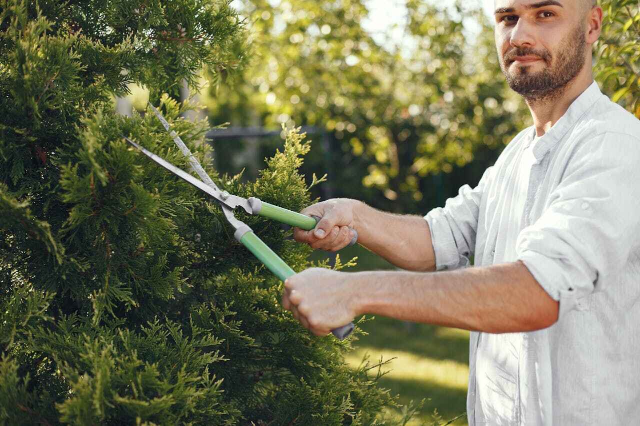 Residential Tree Removal in Bunnell, FL